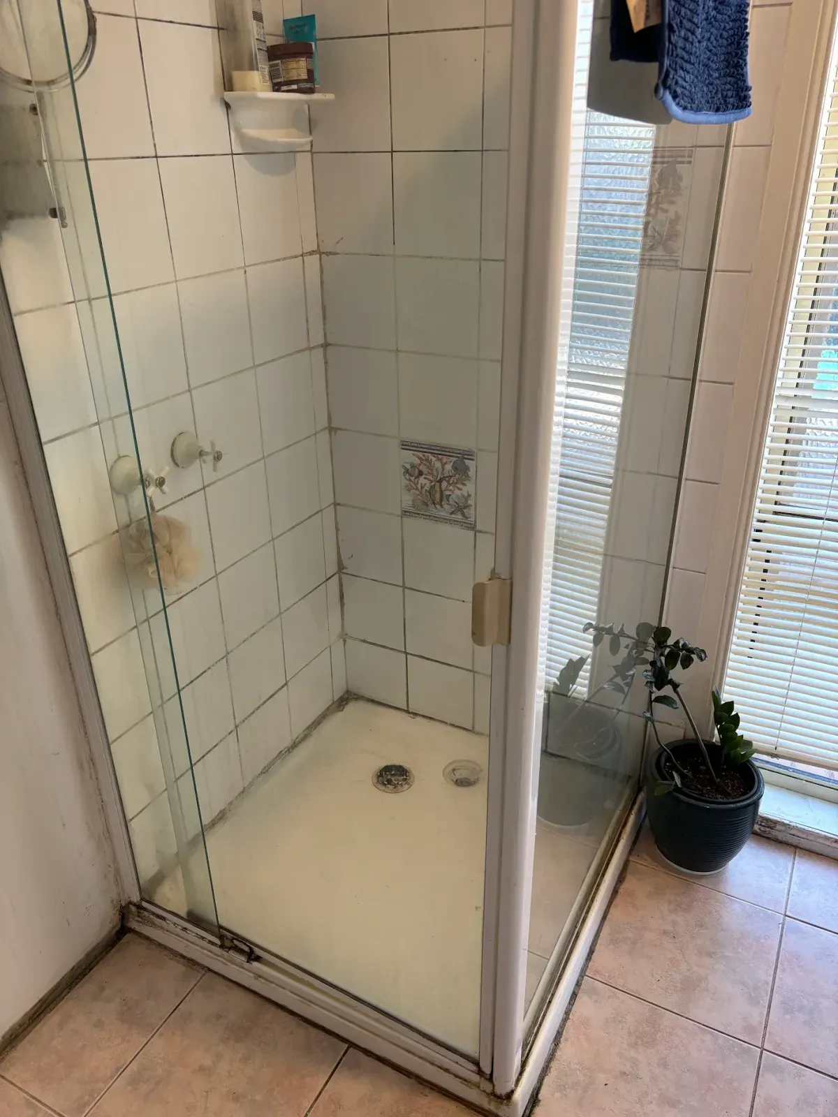 the same shower before: old tile and a dated screen